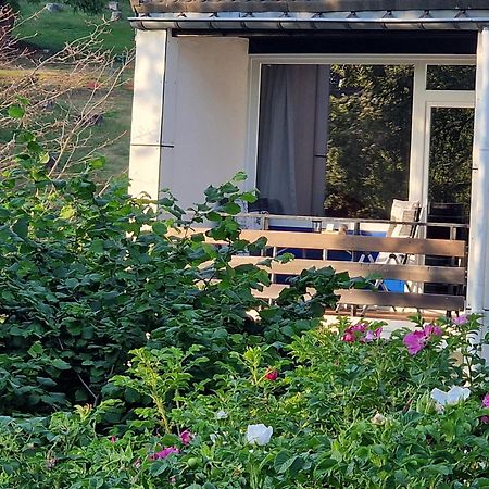 Gemuetliche Moderne Ferienwohnung Inkl. Wlan In St Andreasberg/Braunlange Санкт-Андреасберг Экстерьер фото