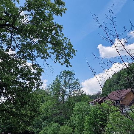 Gemuetliche Moderne Ferienwohnung Inkl. Wlan In St Andreasberg/Braunlange Санкт-Андреасберг Экстерьер фото